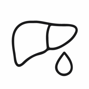 Fetge gras, ventre inflamat, Digestió lenta